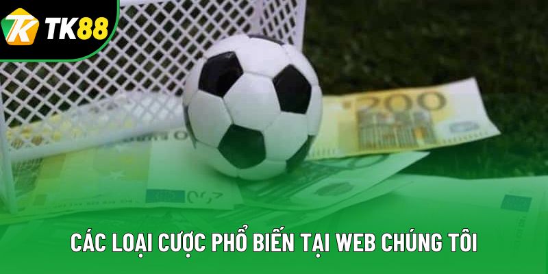 Các loại cược phổ biến tại web chúng tôi Các loại cược phổ biến tại web chúng tôi