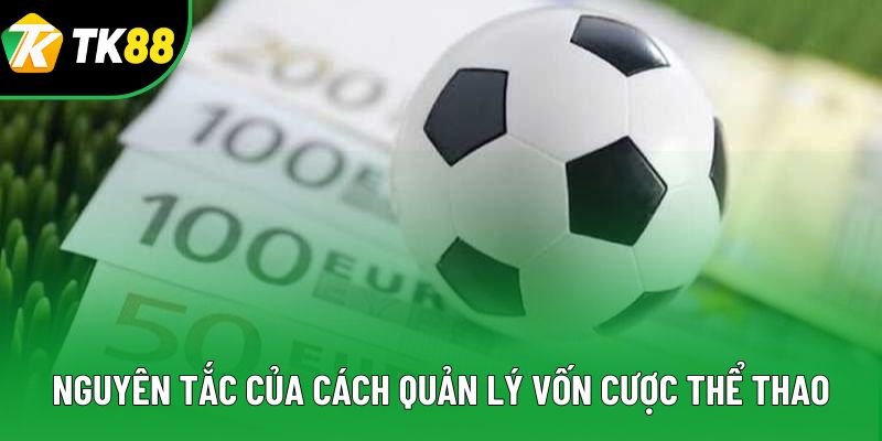 Nguyên tắc của cách quản lý vốn cược thể thao Nguyên tắc của cách quản lý vốn cược thể thao