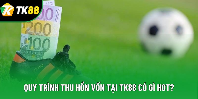 Quy trình thu hồn vốn tại TK88 có gì hot? Quy trình thu hồn vốn tại TK88 có gì hot?